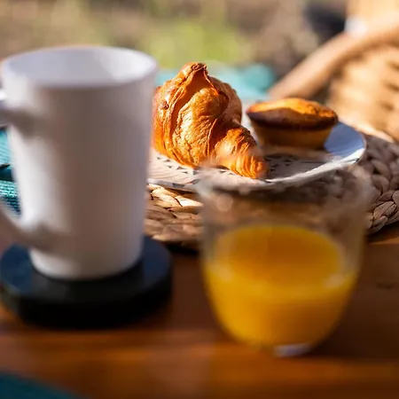 Tenuta Dorolivo Panzió